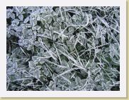 2005-11-19 08-03-26 Novembre 37,6mm 1_60_eme F3,5 * 2592 x 1944 * (4.32MB)